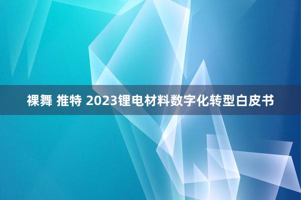 裸舞 推特 2023锂电材料数字化转型白皮书