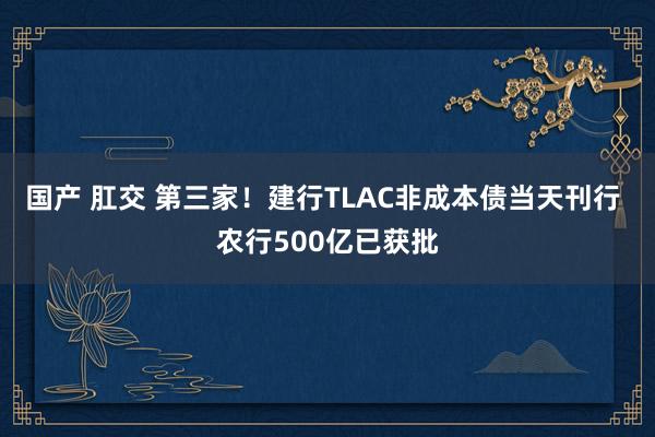 国产 肛交 第三家！建行TLAC非成本债当天刊行 农行500亿已获批