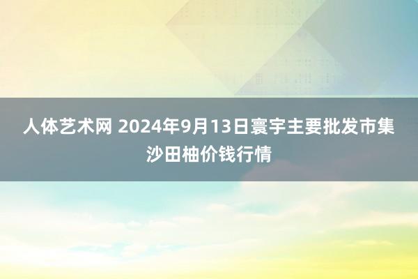 人体艺术网 2024年9月13日寰宇主要批发市集沙田柚价钱行情