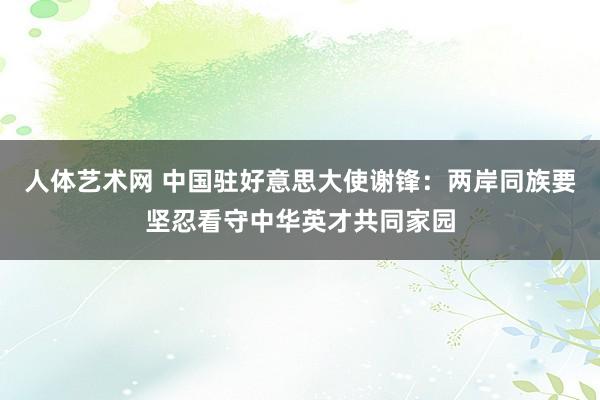 人体艺术网 中国驻好意思大使谢锋：两岸同族要坚忍看守中华英才共同家园