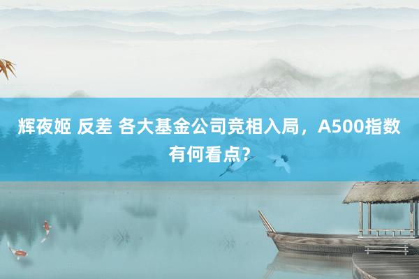 辉夜姬 反差 各大基金公司竞相入局，A500指数有何看点？