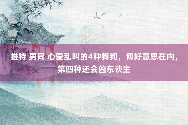 推特 男同 心爱乱叫的4种狗狗，博好意思在内，第四种还会凶东谈主