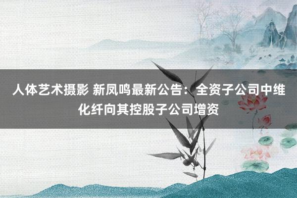 人体艺术摄影 新凤鸣最新公告：全资子公司中维化纤向其控股子公司增资