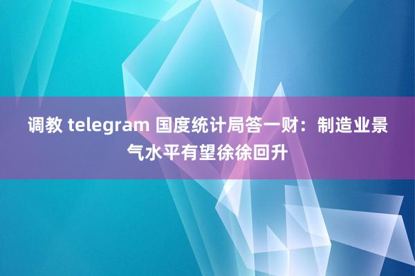 调教 telegram 国度统计局答一财：制造业景气水平有望徐徐回升