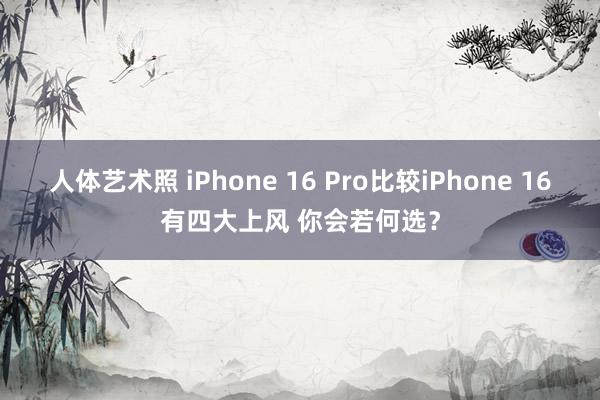 人体艺术照 iPhone 16 Pro比较iPhone 16有四大上风 你会若何选？