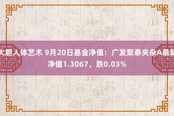 大胆人体艺术 9月20日基金净值：广发聚泰夹杂A最新净值1.3067，跌0.03%