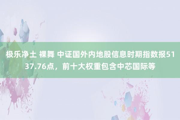 极乐净土 裸舞 中证国外内地股信息时期指数报5137.76点，前十大权重包含中芯国际等