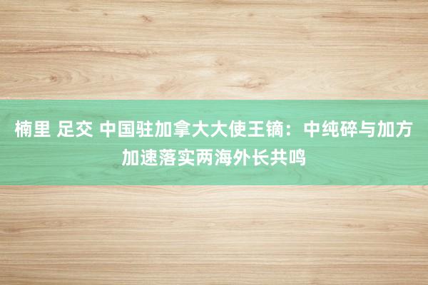 楠里 足交 中国驻加拿大大使王镝：中纯碎与加方加速落实两海外长共鸣