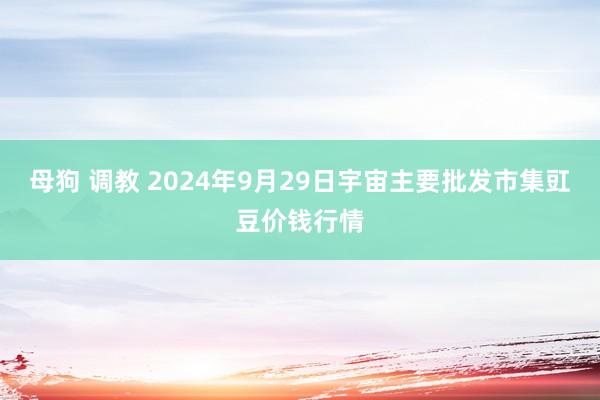 母狗 调教 2024年9月29日宇宙主要批发市集豇豆价钱行情