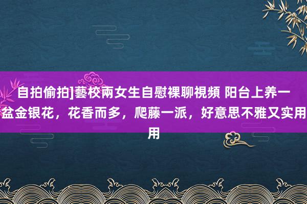 自拍偷拍]藝校兩女生自慰裸聊視頻 阳台上养一盆金银花，花香而多，爬藤一派，好意思不雅又实用