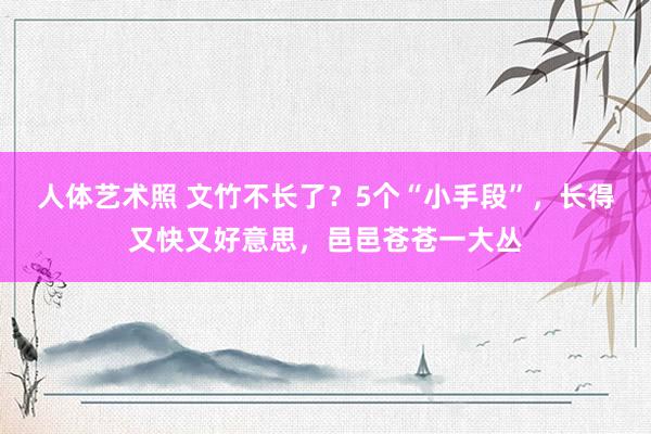 人体艺术照 文竹不长了？5个“小手段”，长得又快又好意思，邑邑苍苍一大丛