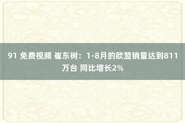 91 免费视频 崔东树：1-8月的欧盟销量达到811万台 同比增长2%