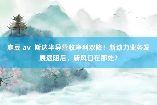 麻豆 av  斯达半导营收净利双降！新动力业务发展遇阻后，新风口在那处？