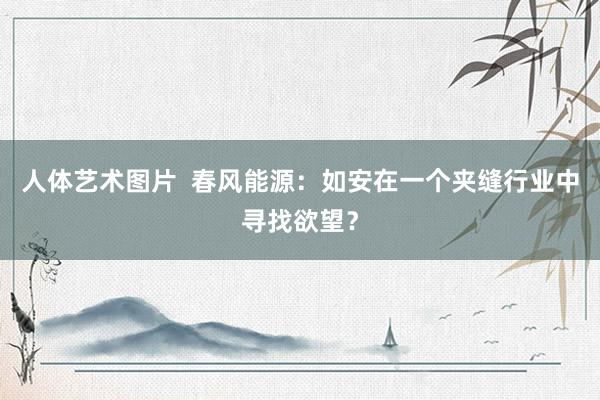 人体艺术图片  春风能源：如安在一个夹缝行业中寻找欲望？