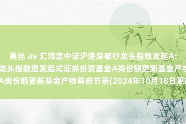 黑丝 av 汇添富中证沪港深破钞龙头指数发起A: 汇添富中证沪港深破钞龙头指数型发起式证券投资基金A类份额更新基金产物尊府节录(2024年10月18日更新)