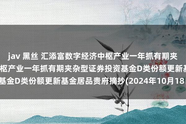 jav 黑丝 汇添富数字经济中枢产业一年抓有期夹杂D: 汇添富数字经济中枢产业一年抓有期夹杂型证券投资基金D类份额更新基金居品贵府摘抄(2024年10月18日更新)