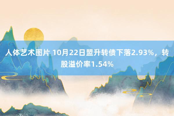 人体艺术图片 10月22日盟升转债下落2.93%，转股溢价率1.54%