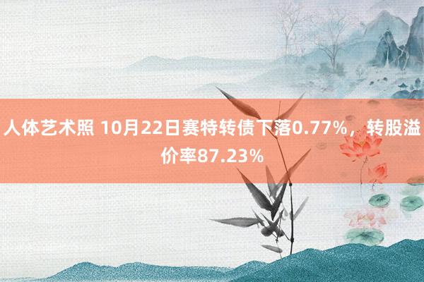 人体艺术照 10月22日赛特转债下落0.77%，转股溢价率87.23%