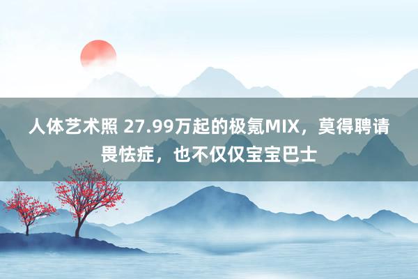 人体艺术照 27.99万起的极氪MIX，莫得聘请畏怯症，也不仅仅宝宝巴士