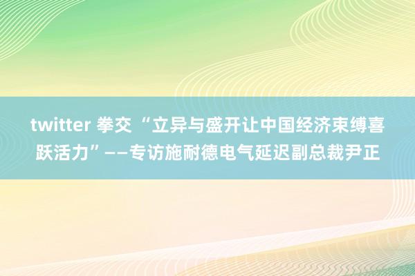 twitter 拳交 “立异与盛开让中国经济束缚喜跃活力”——专访施耐德电气延迟副总裁尹正