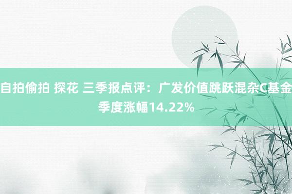 自拍偷拍 探花 三季报点评：广发价值跳跃混杂C基金季度涨幅14.22%