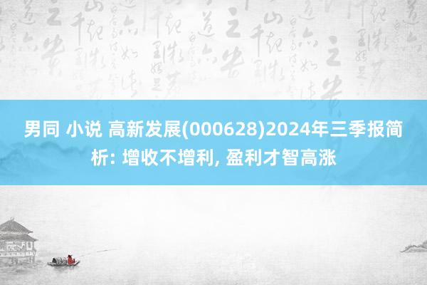 男同 小说 高新发展(000628)2024年三季报简析: 增收不增利， 盈利才智高涨