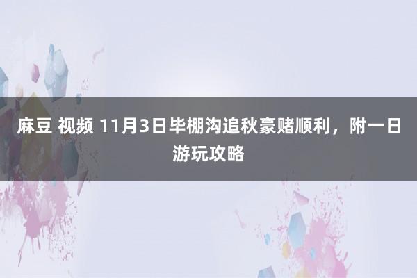 麻豆 视频 11月3日毕棚沟追秋豪赌顺利，附一日游玩攻略