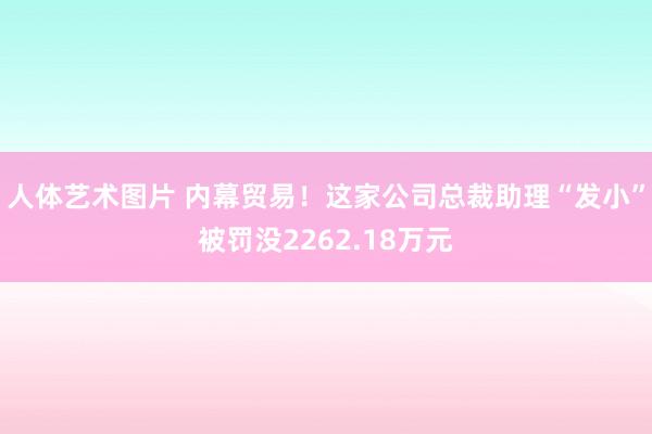 人体艺术图片 内幕贸易！这家公司总裁助理“发小”被罚没2262.18万元