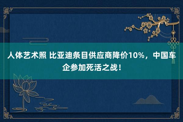 人体艺术照 比亚迪条目供应商降价10%，中国车企参加死活之战！