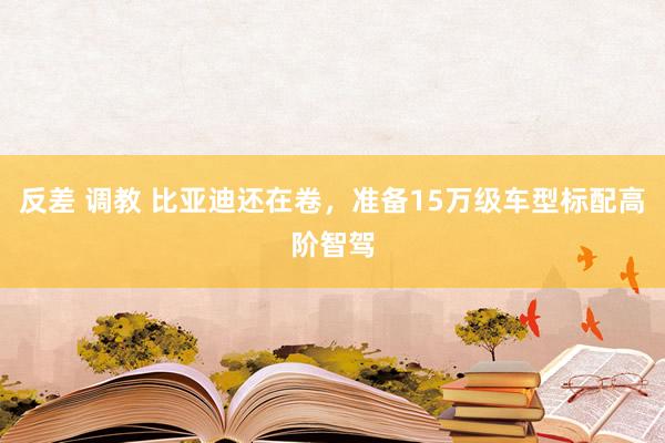 反差 调教 比亚迪还在卷，准备15万级车型标配高阶智驾