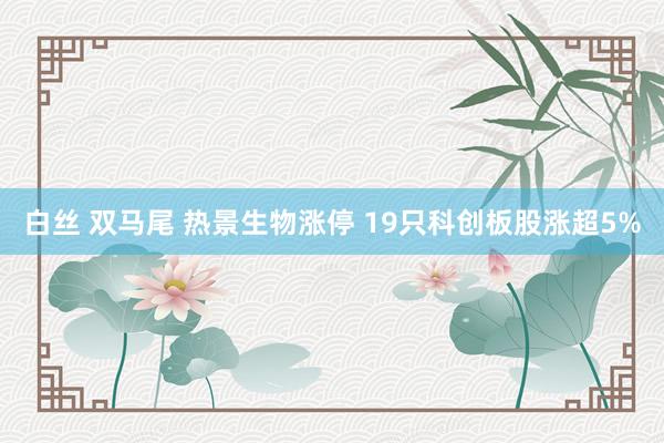 白丝 双马尾 热景生物涨停 19只科创板股涨超5%