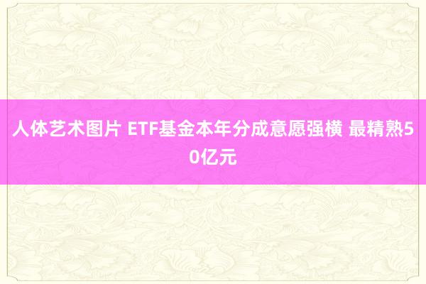 人体艺术图片 ETF基金本年分成意愿强横 最精熟50亿元