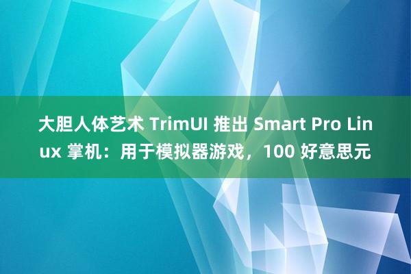 大胆人体艺术 TrimUI 推出 Smart Pro Linux 掌机：用于模拟器游戏，100 好意思元