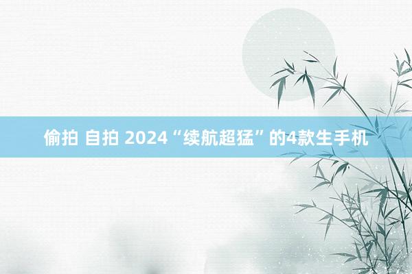 偷拍 自拍 2024“续航超猛”的4款生手机