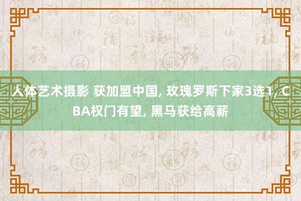 人体艺术摄影 获加盟中国， 玫瑰罗斯下家3选1， CBA权门有望， 黑马获给高薪