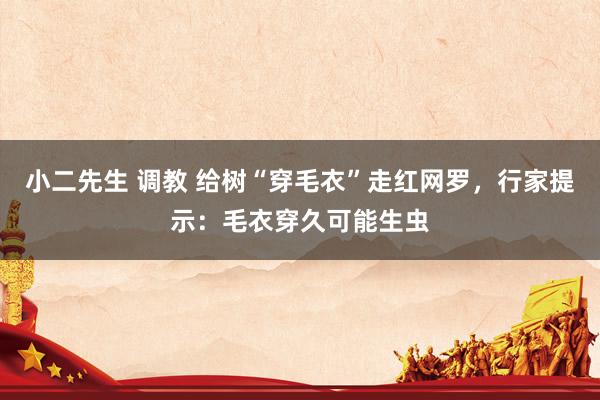 小二先生 调教 给树“穿毛衣”走红网罗，行家提示：毛衣穿久可能生虫