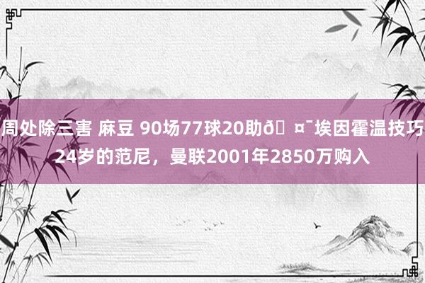 周处除三害 麻豆 90场77球20助🤯埃因霍温技巧24岁的范尼，曼联2001年2850万购入