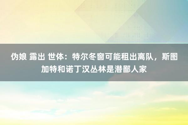 伪娘 露出 世体：特尔冬窗可能租出离队，斯图加特和诺丁汉丛林是潜鄙人家