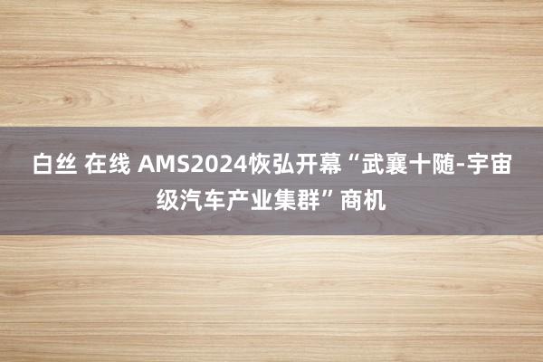 白丝 在线 AMS2024恢弘开幕“武襄十随-宇宙级汽车产业集群”商机