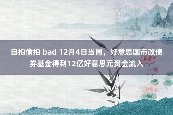 自拍偷拍 bad 12月4日当周，好意思国市政债券基金得到12亿好意思元资金流入