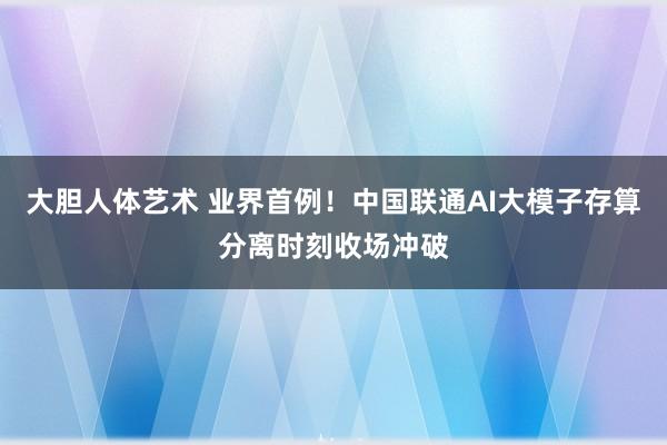 大胆人体艺术 业界首例！中国联通AI大模子存算分离时刻收场冲破