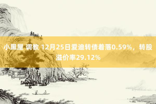 小黑屋 调教 12月25日爱迪转债着落0.59%，转股溢价率29.12%