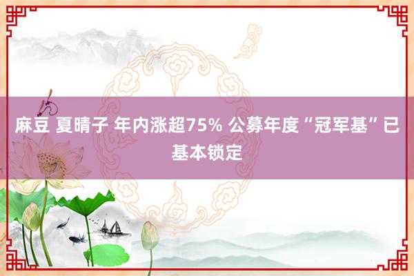 麻豆 夏晴子 年内涨超75% 公募年度“冠军基”已基本锁定