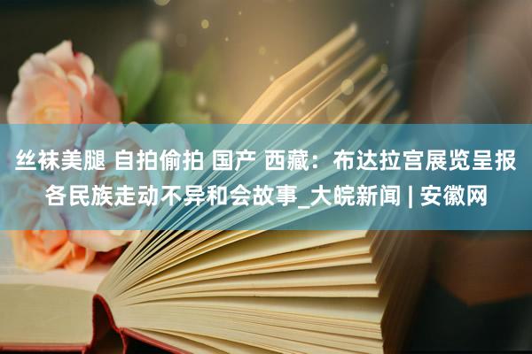 丝袜美腿 自拍偷拍 国产 西藏：布达拉宫展览呈报各民族走动不异和会故事_大皖新闻 | 安徽网