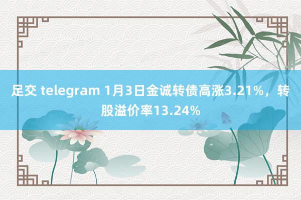 足交 telegram 1月3日金诚转债高涨3.21%，转股溢价率13.24%