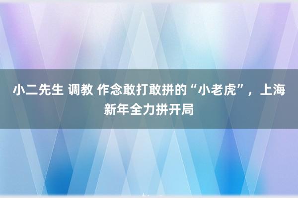 小二先生 调教 作念敢打敢拼的“小老虎”，上海新年全力拼开局