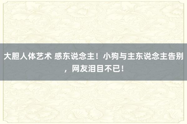 大胆人体艺术 感东说念主！小狗与主东说念主告别，网友泪目不已！