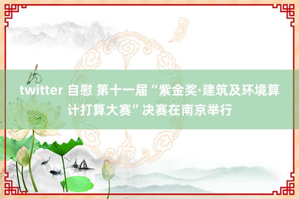 twitter 自慰 第十一届“紫金奖·建筑及环境算计打算大赛”决赛在南京举行