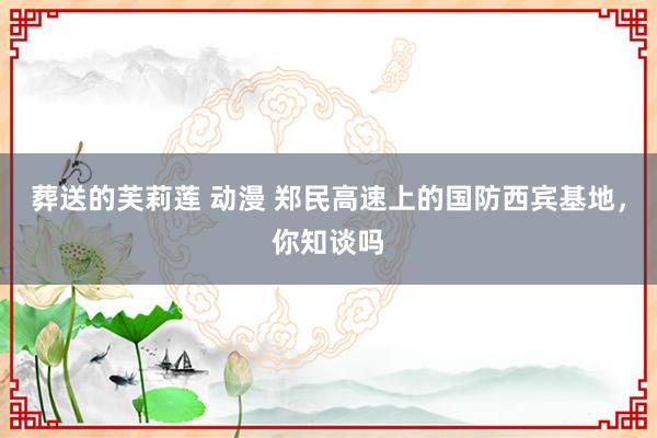 葬送的芙莉莲 动漫 郑民高速上的国防西宾基地，你知谈吗