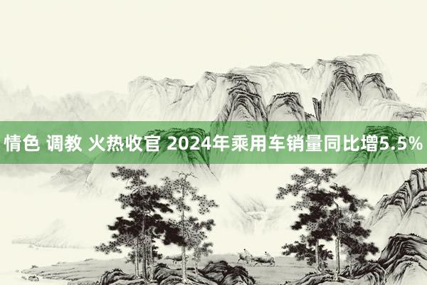 情色 调教 火热收官 2024年乘用车销量同比增5.5%